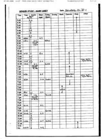 Saturday log sheet